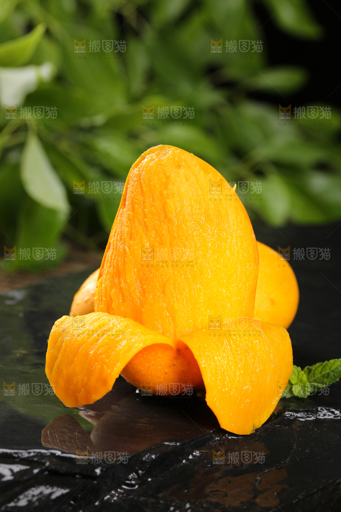 黑底上的新鲜小台芒