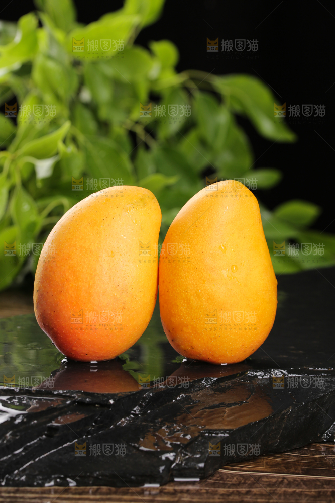 黑底上放着小台芒