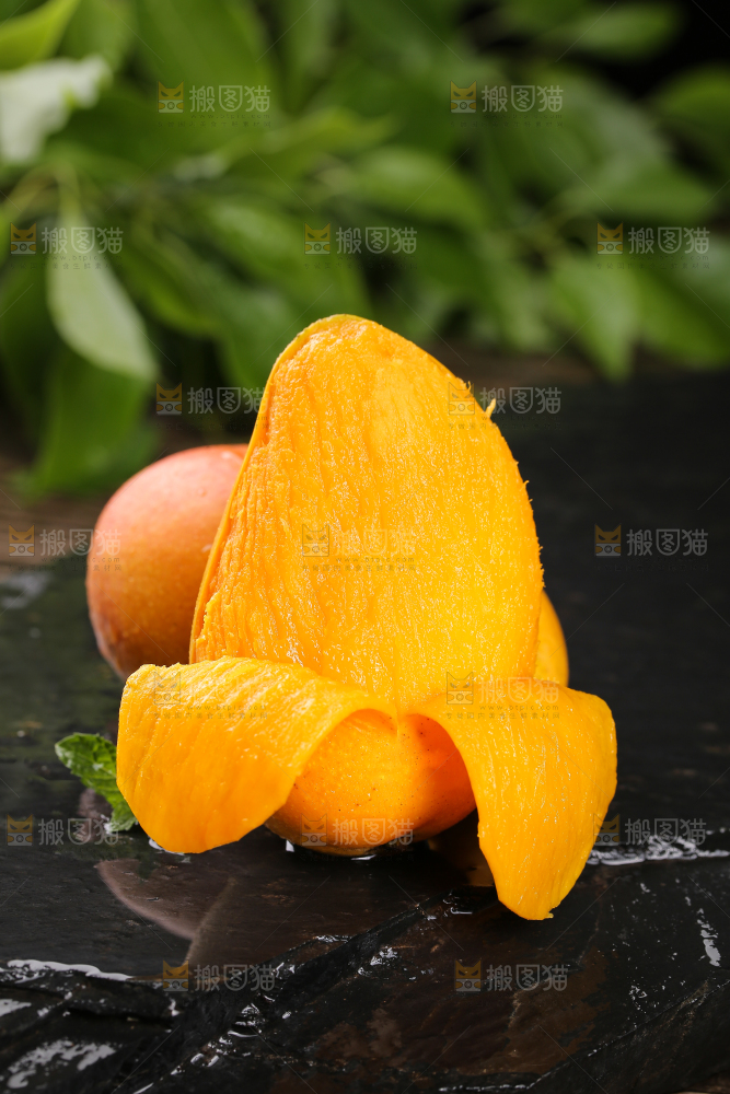 黑底上的新鲜小台芒