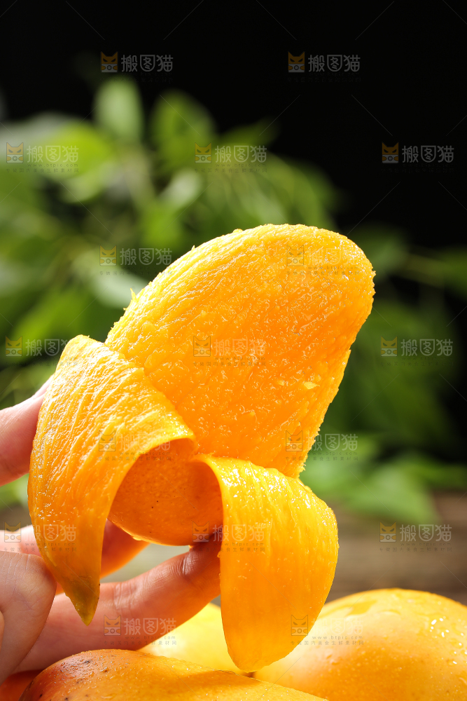 手拿着剥皮的新鲜台芒