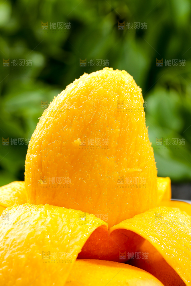 黑底上摆放着的台芒