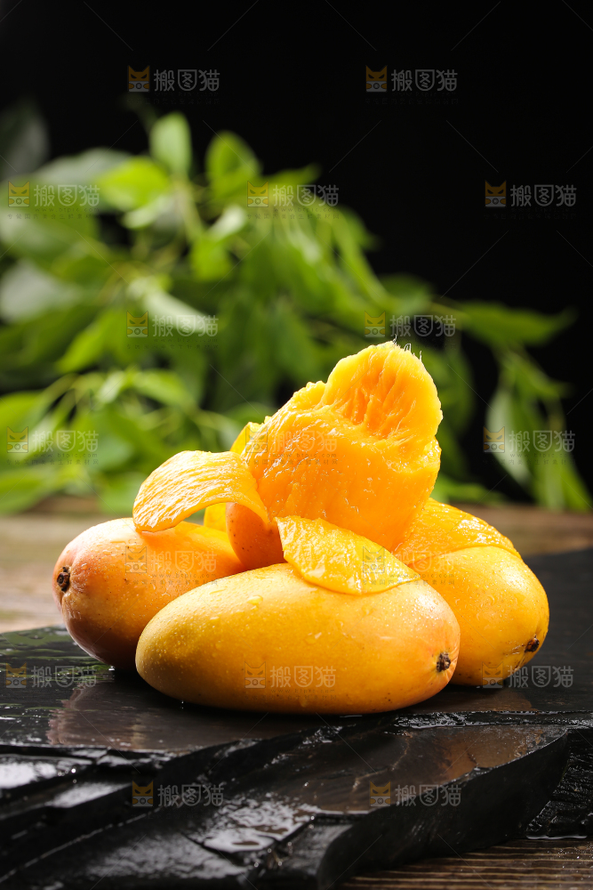 黑底上的新鲜小台芒