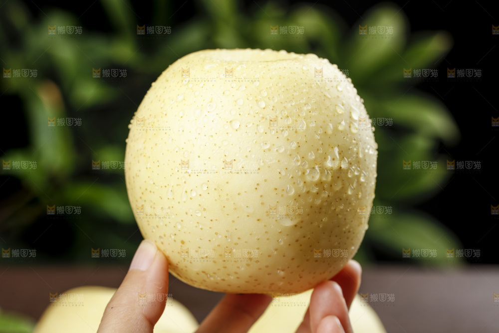 手里拿着新鲜皇冠梨