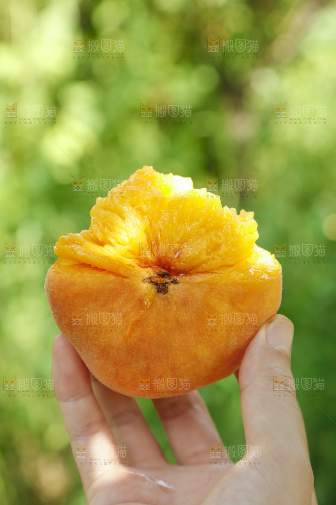 手里拿着新鲜黄蟠桃