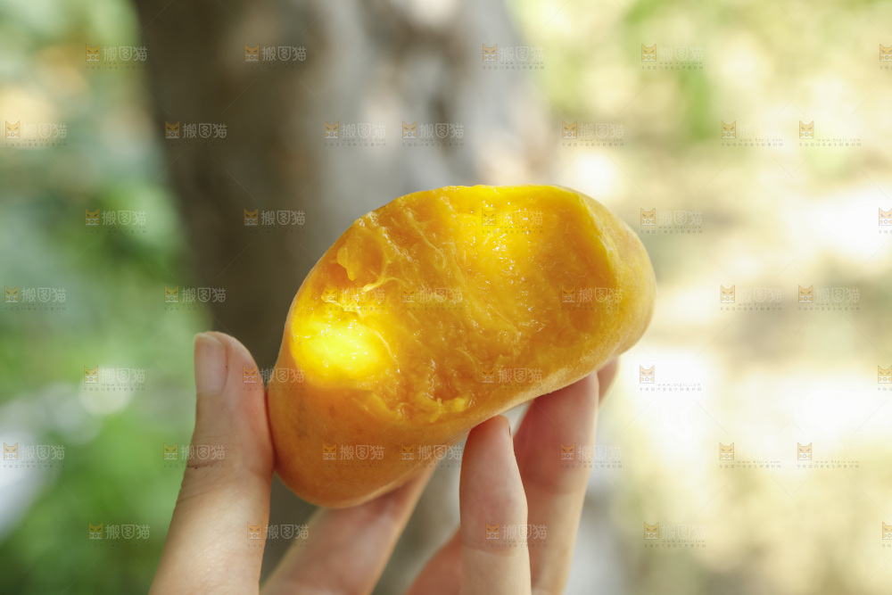 手里拿着黄肉蟠桃
