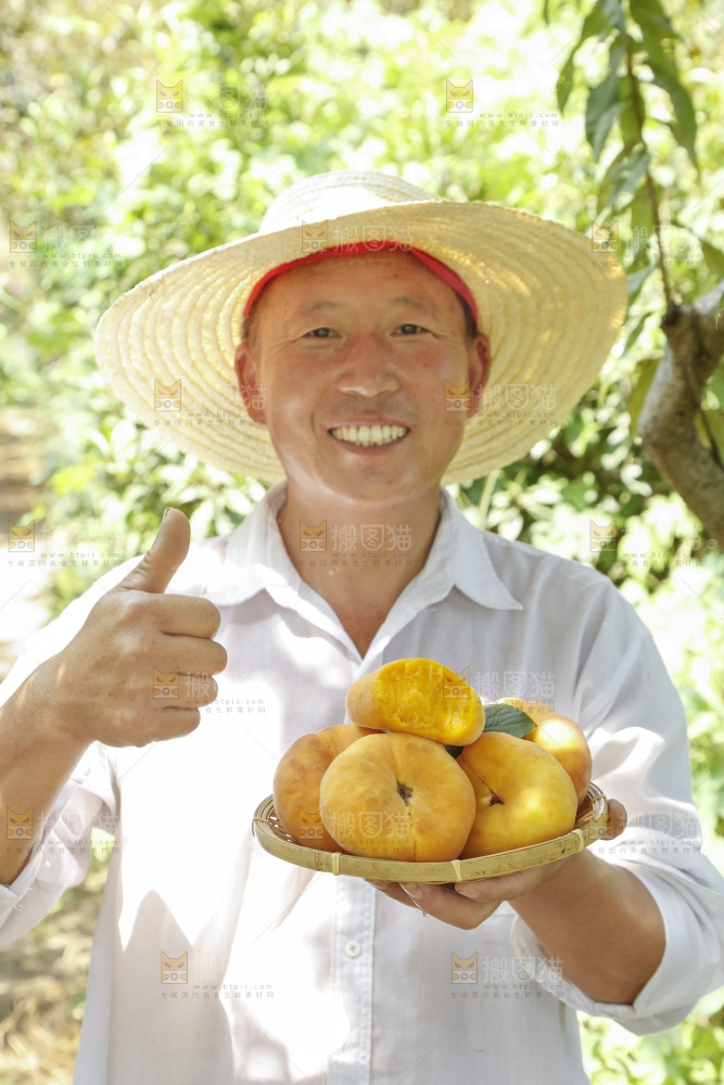 农民手里拿着一篮黄蟠桃
