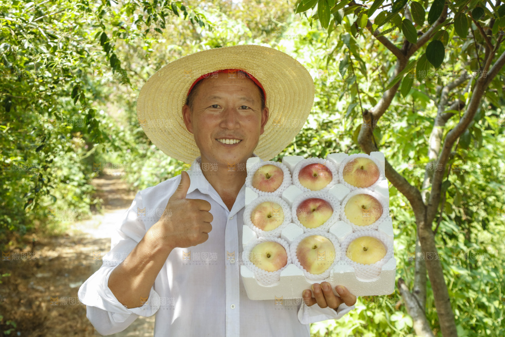 农民拿着礼品箱里的嘎啦果