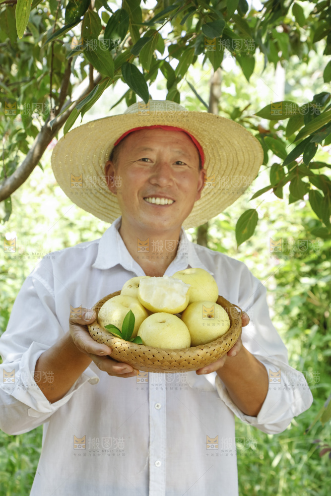 农民手里拿着一篮皇冠梨