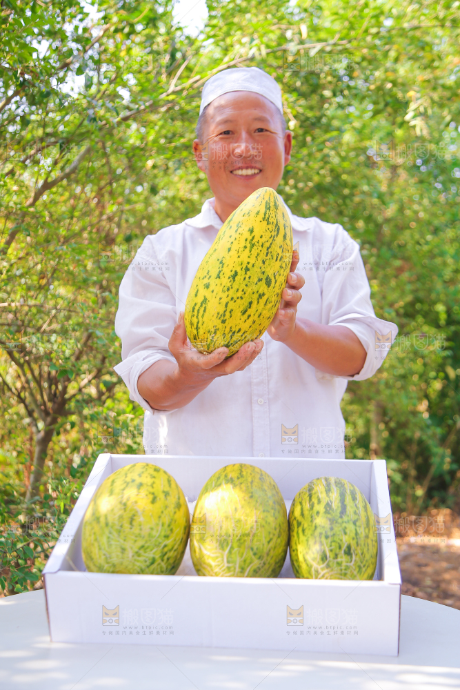 农民手拿着新鲜伽师瓜