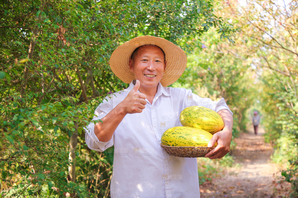 农民手里拿着一篮伽师瓜