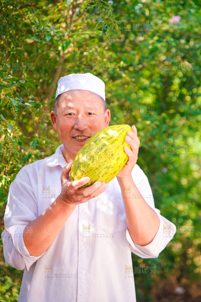 新疆伽师瓜