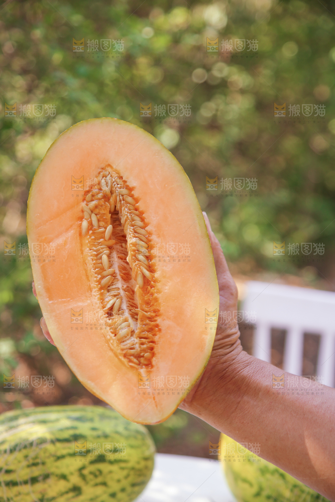 新疆伽师瓜