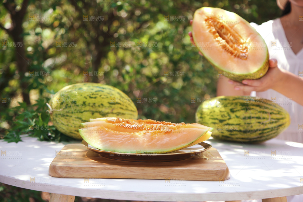 新疆伽师瓜