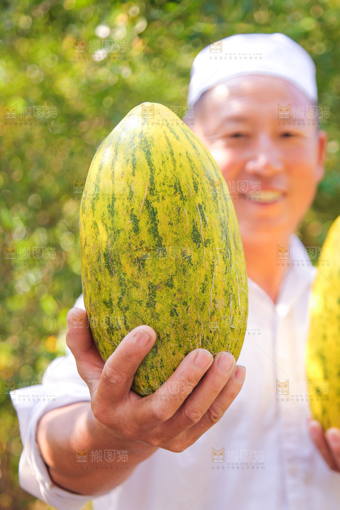新疆伽师瓜