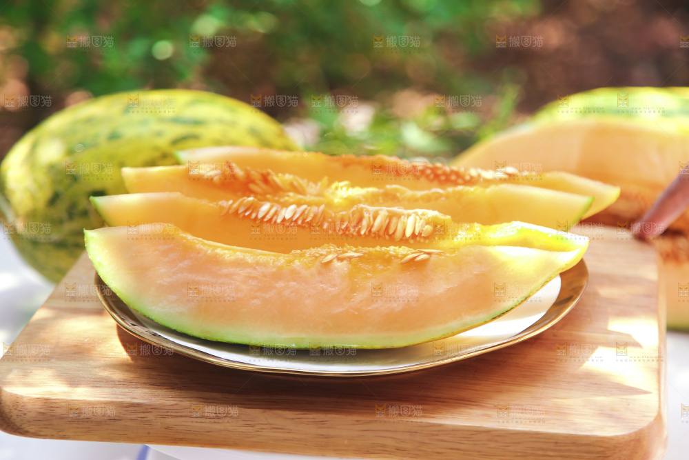 新疆伽师瓜
