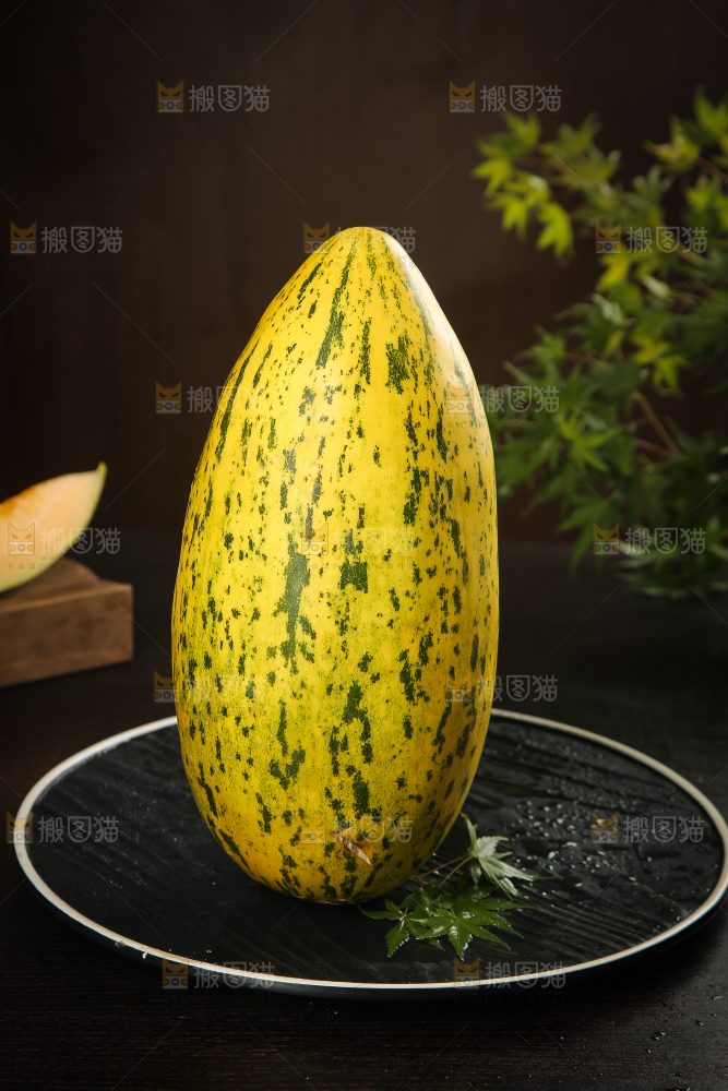 新疆伽师瓜