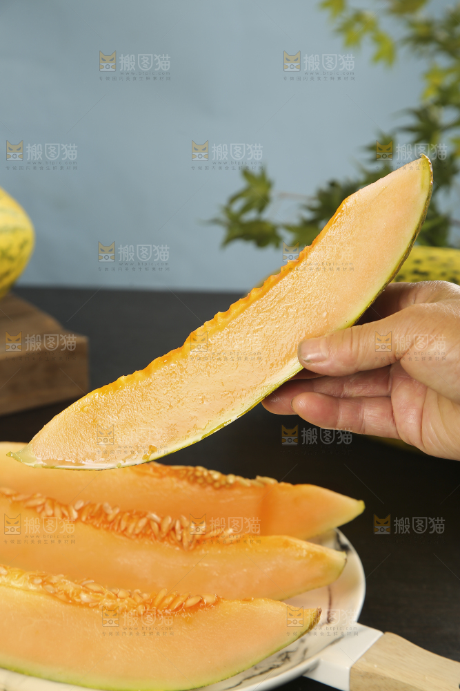 新疆伽师瓜