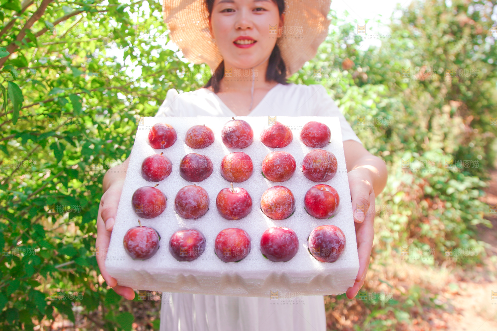 女孩手里拿着一盒红脆李