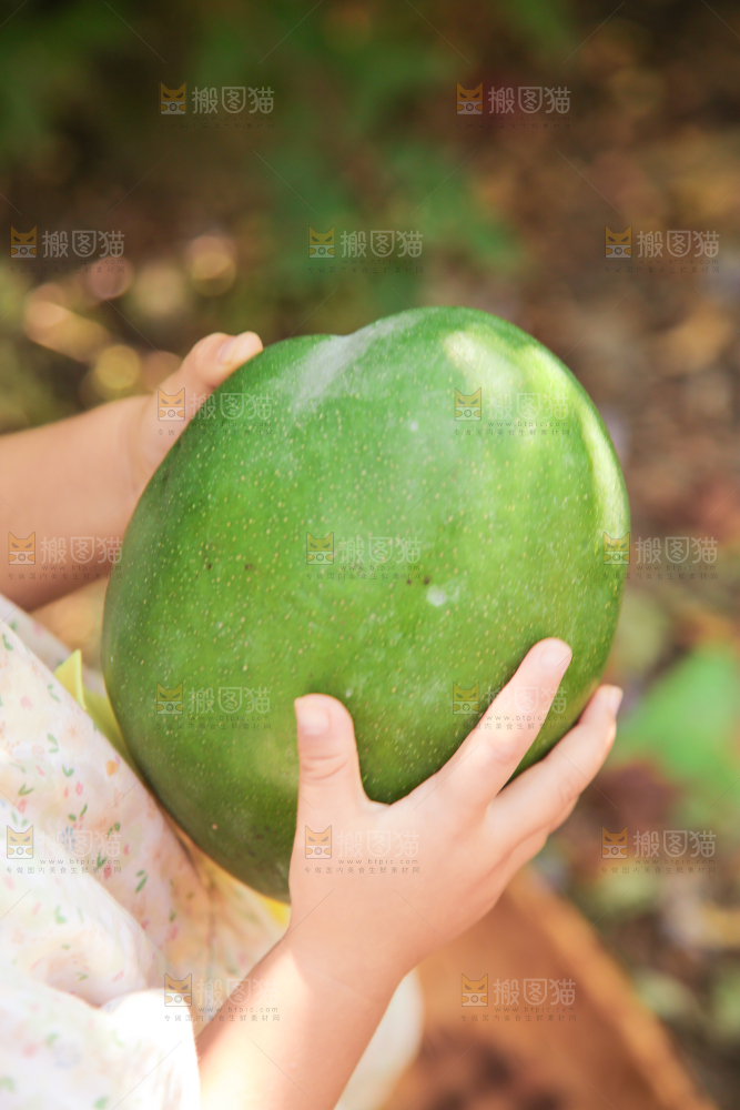 手里拿着凯特芒果