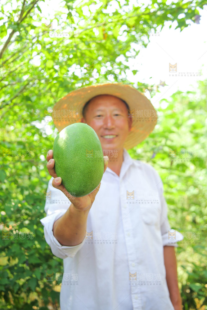 农民手里拿着青皮凯特芒