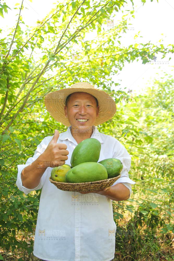 农民手里拿着一篮凯特芒