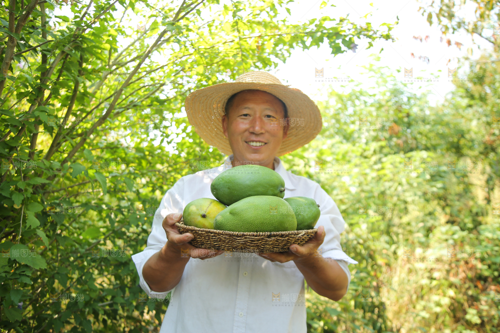 农民手里拿着一篮凯特芒