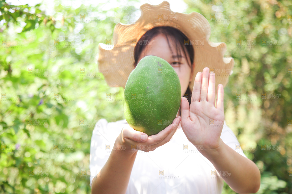 女孩手里拿着凯特芒果