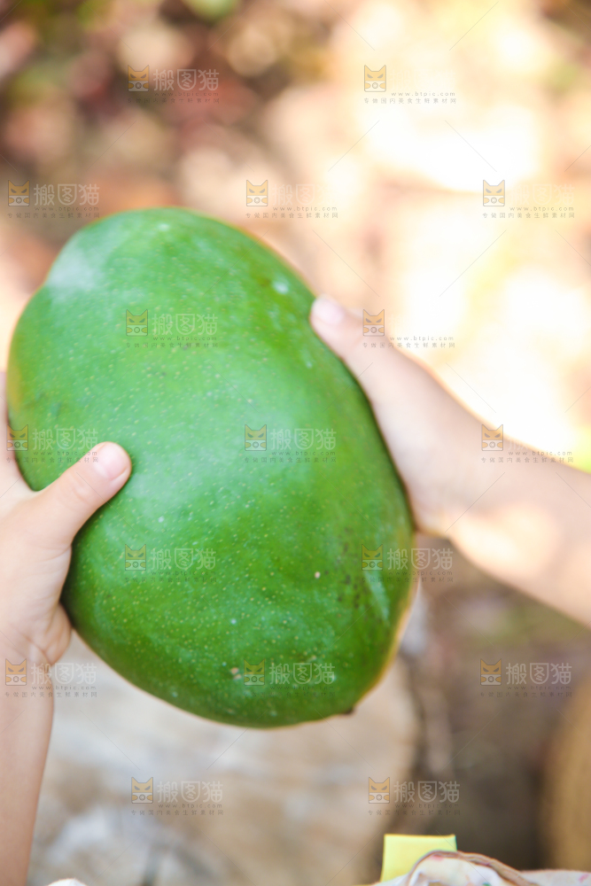 手里拿着凯特芒果