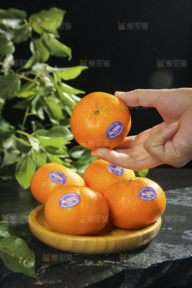 手里拿着进口澳柑