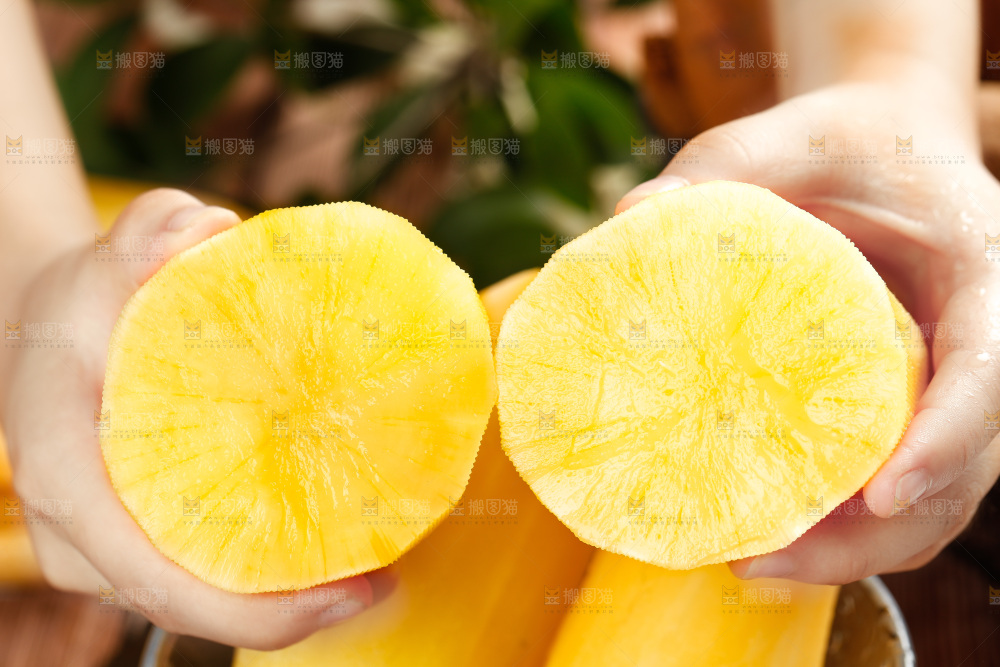 手里拿着切开的雪莲果