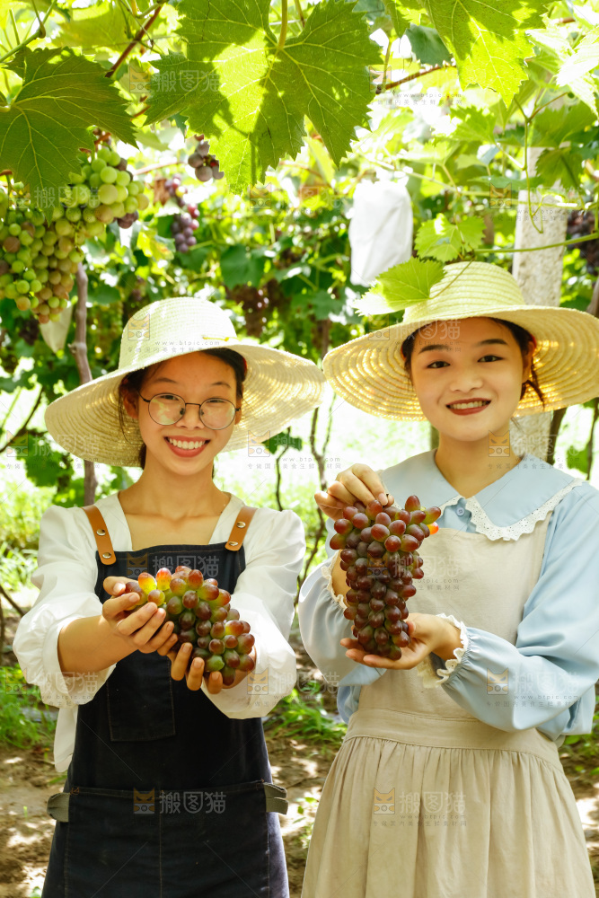 女孩手里拿着现摘葡萄