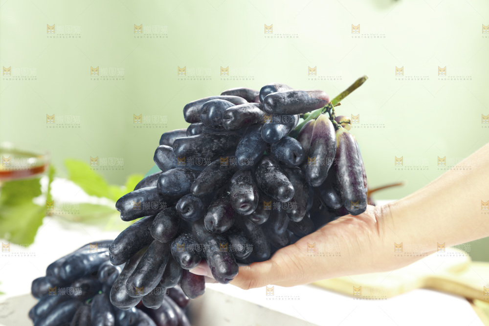 手拿着美人指黑提