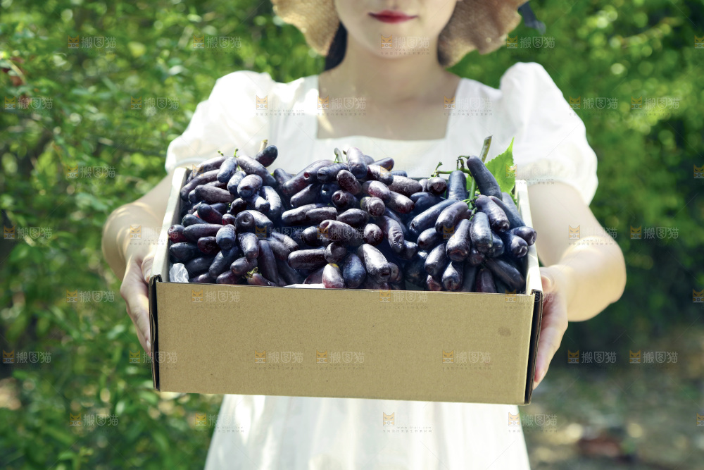 女孩拿着一盒美人指