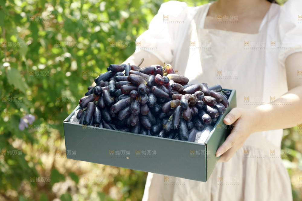 手里拿着礼品盒装的手指葡萄