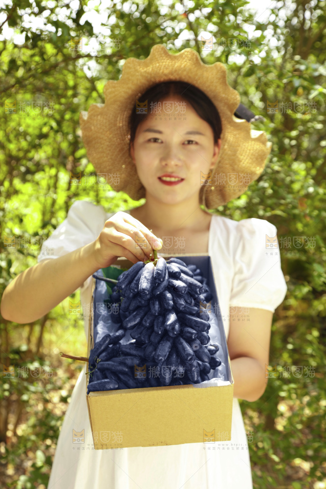 女孩拿着美人指黑提