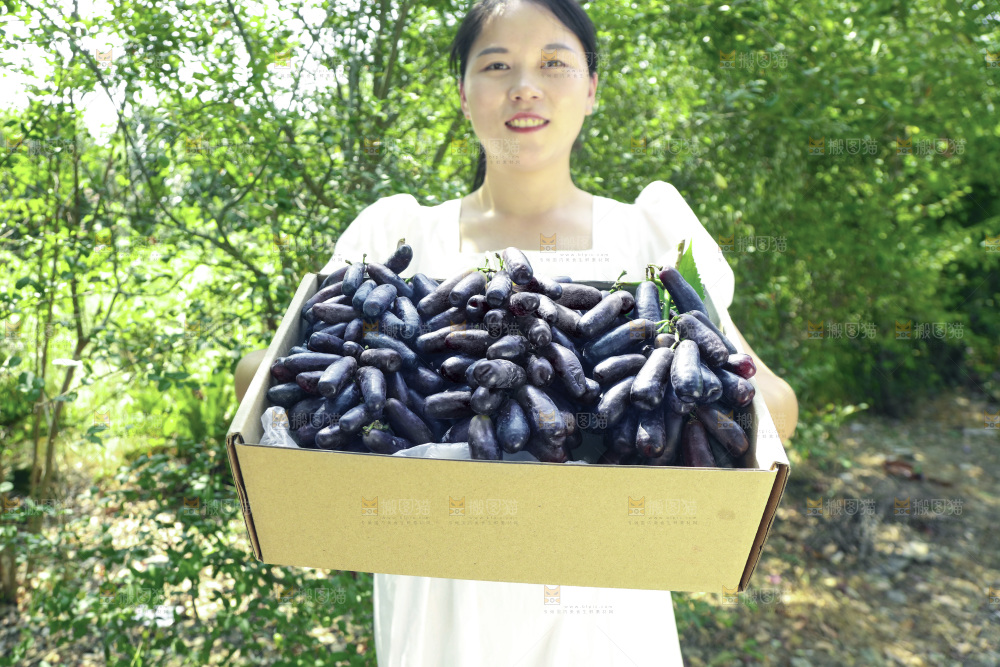 女孩拿着一盒蓝宝石葡萄