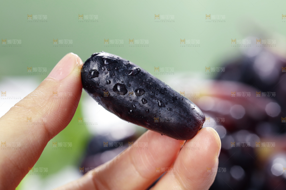 手里拿着美人指黑提