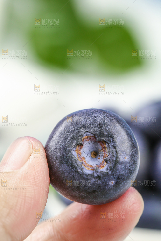 手里拿着蓝莓鲜果