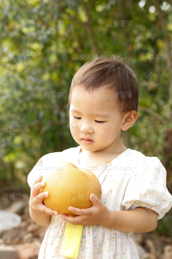 小孩手里拿着秋月梨