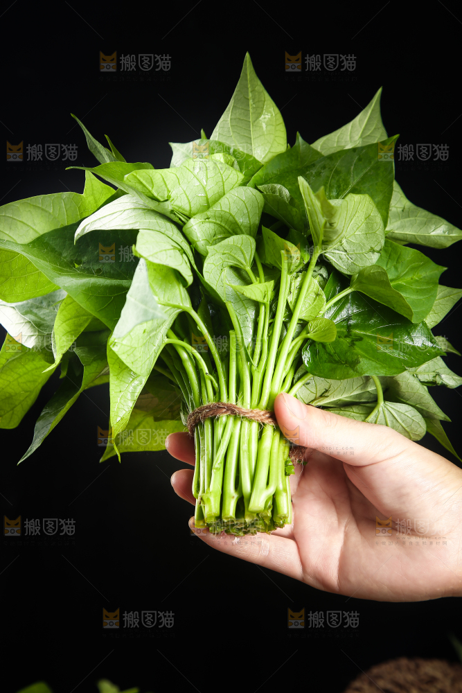 手里拿着一把苕尖