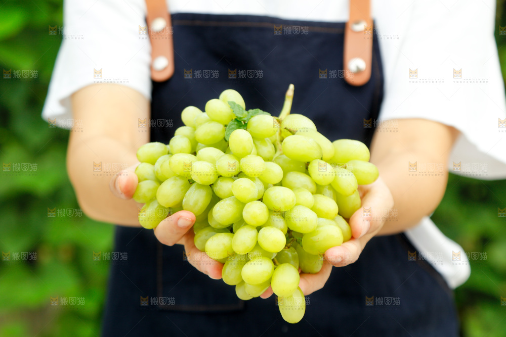手里拿着白葡萄