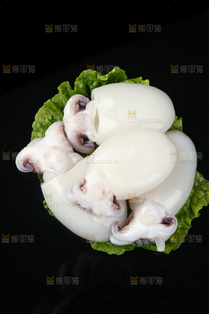 菜叶上的小墨鱼