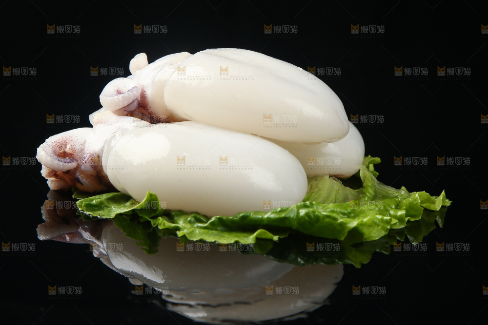 菜叶上的小墨鱼
