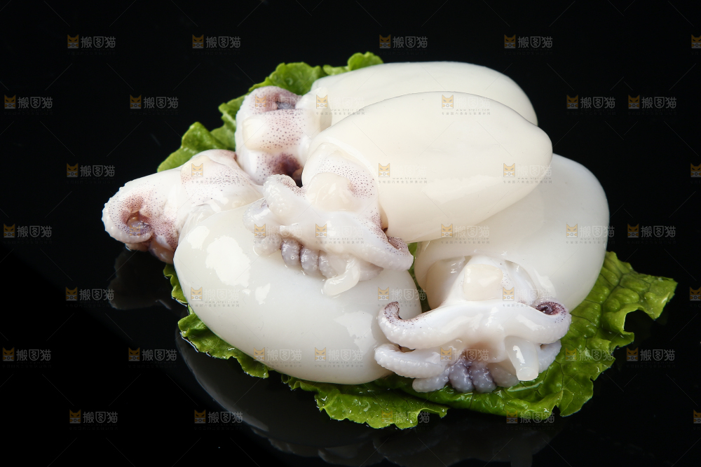 菜叶上的小墨鱼