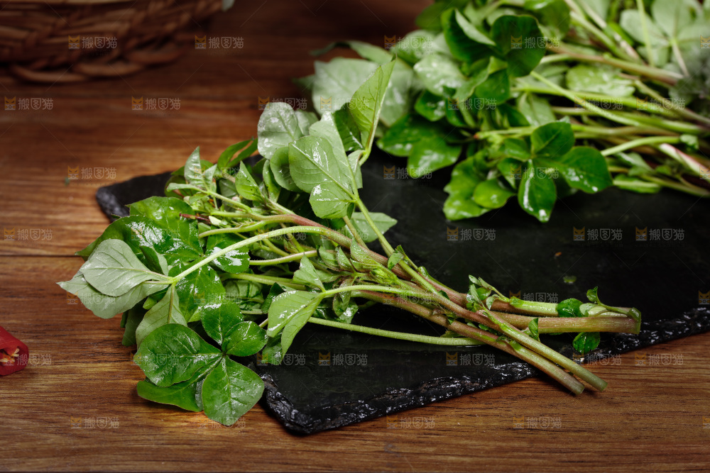 黑石板上放着湖北白花菜