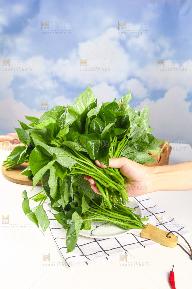 手里拿着红薯叶