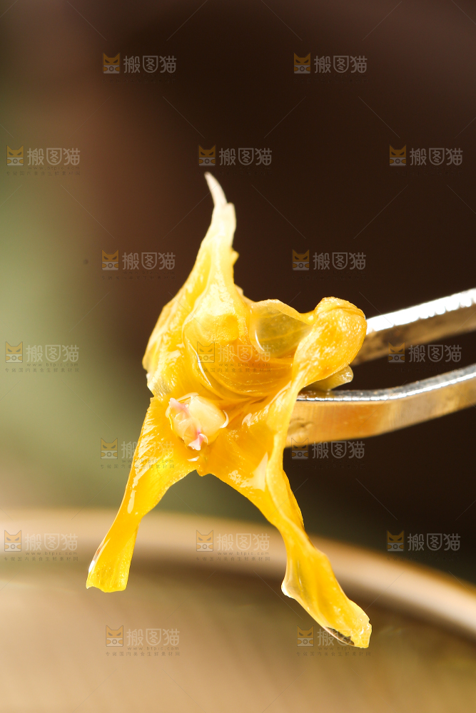 夹子夹着石斛花