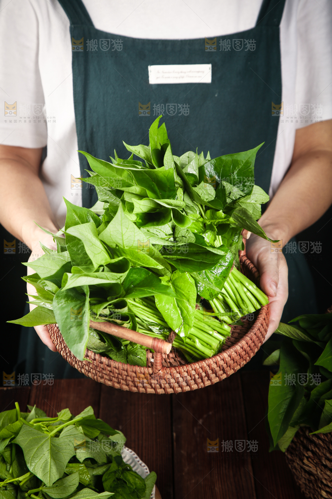 手里端着一篮地瓜叶