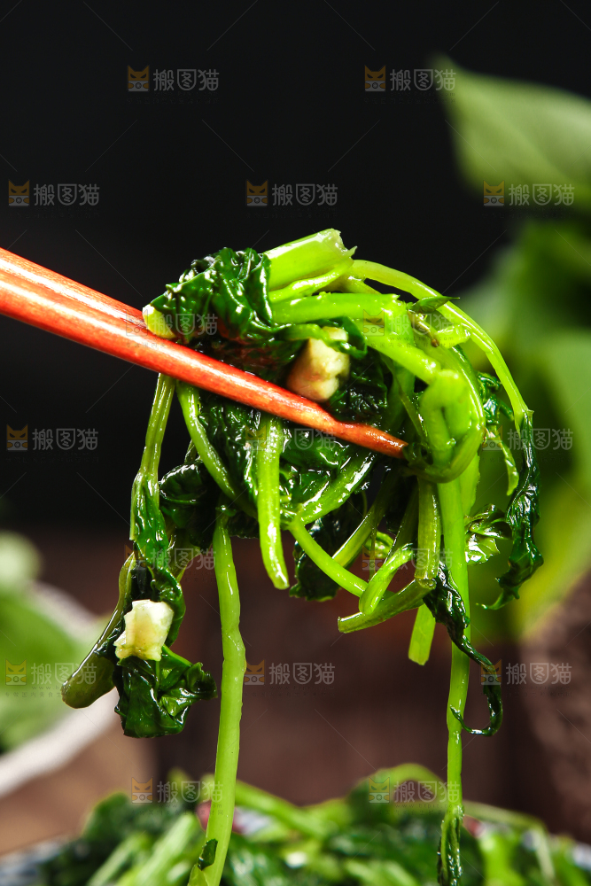 筷子上夹着素炒苕尖