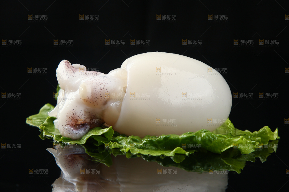 菜叶上的小墨鱼